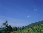 psychotherapy treatment toronto