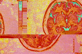 mind body spirit