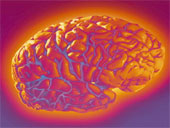 mind-body therapy toronto