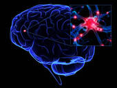psychotherapy brain
