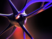 psychotherapy toronto  mind